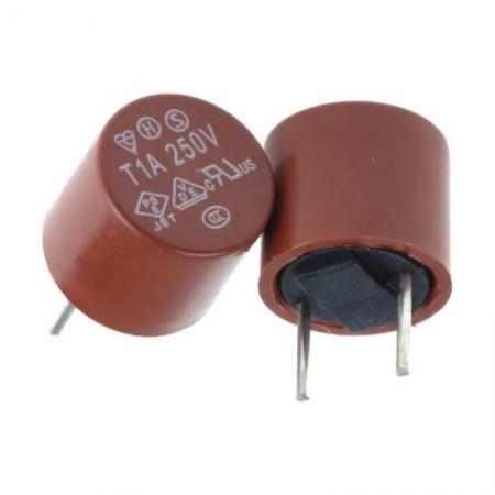 FUSE T1A-250V, 1A 250V (T) Gecikmeli Kondansatör Tip Sigorta THT (*)