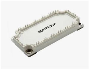 BYTE 28806 - MG75P12E2A