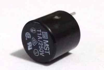 FUSE 1A 250V CAP TYPE RADIAL REOMAX THT (MTST1A250V)